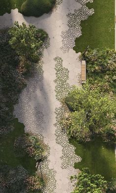 an aerial view of a path in the middle of some trees and bushes with benches on each side