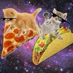 two cats sitting on top of slices of pizza in the middle of space with stars