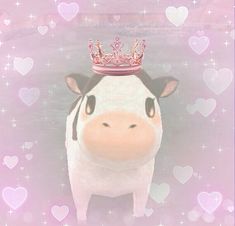 Beautiful princess cow Cow