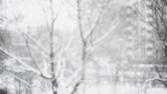 a blurry photo of trees in the snow