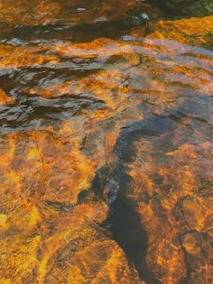 an aerial view of the water with orange and yellow algae growing on it's surface