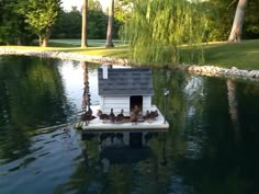 a flock of birds sitting on top of a house floating in the middle of a lake