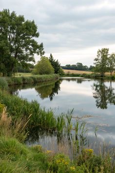 the water is still calm and clear for us to see on this day in the wild