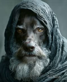 an old man with a beard and wearing a shawl over his head is staring at the camera