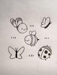 four drawings of different kinds of bugs and butterflies
