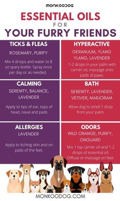 the top 10 essential oils for your furry friend's health and hygiene needs info