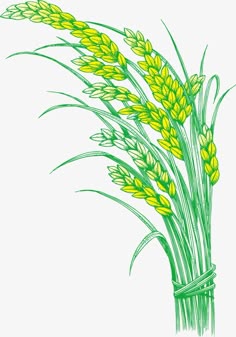 a drawing of some yellow flowers in a vase on a white background, with green stems sticking out of it
