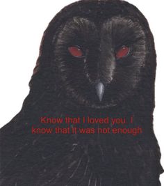 Vulture Core Aesthetic, Red Owl Aesthetic, Owl Poetry, Mothman Quotes, Owl Dark Aesthetic, Weird Birds Analog Horror, Angry Dog Poetry, Animal Poetry, Analog Horror Bird