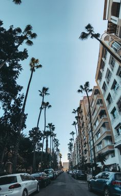 palm trees line the street in front of apartment buildings and cars parked on the side