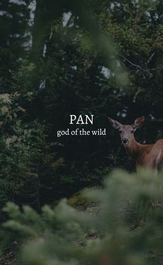 Pan God Aesthetic, God Of Pan, Pan God Of Nature, Pan Greek God, Pan God Of The Wild, Pan God Of The Forest, Pan God, The God Pan Greek Mythology, Pan The God Of Nature