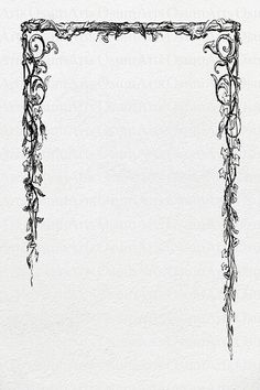 a drawing of an ornate frame with vines