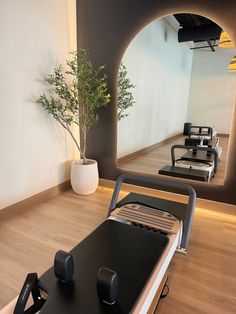 an exercise room with treadmills and a potted plant
