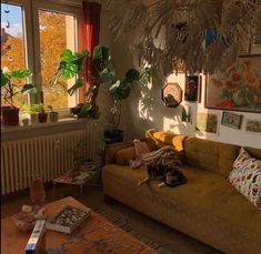 a living room filled with furniture next to a window covered in plants and pictures on the wall