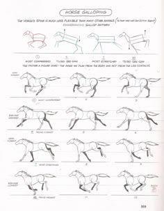 the instructions for how to draw a horse