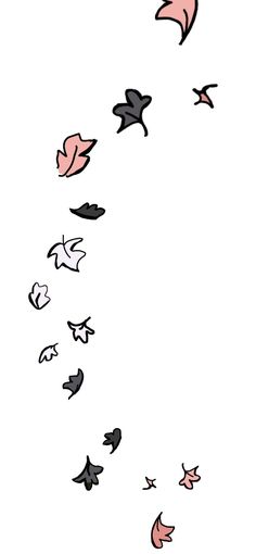 several birds flying in the sky together