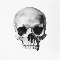 a black and white photo of a human skull