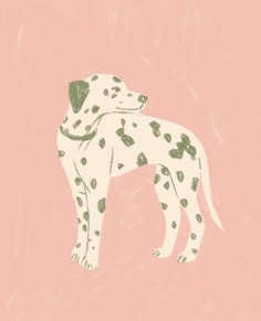 a drawing of a dalmatian dog on a pink background