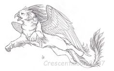 a drawing of an animal with wings on it's back, sitting on top of a