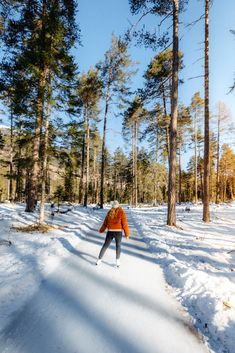 a man riding skis down a snow covered slope next to tall pine tree's