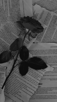 a rose is laying on top of an open book with some pages scattered around it