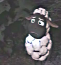 a black sheep standing in front of a group of people