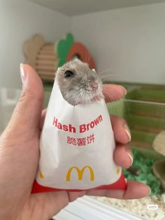 a person holding a bag with a hamster in it's mouth and the words mash brown written on it