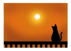 a cat is sitting on a fence watching the sun go down in the distance with an orange sky behind it