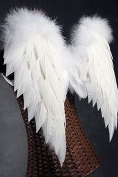 two white angel wings sitting on top of each other
