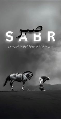 two horses standing on top of a sandy beach under a cloudy sky with the word sabra written in arabic
