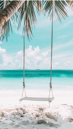 a hammock hanging from a palm tree on the beach with turquoise water in the background