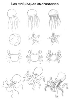 the different types of sea animals are shown in black and white, including an octopus, star
