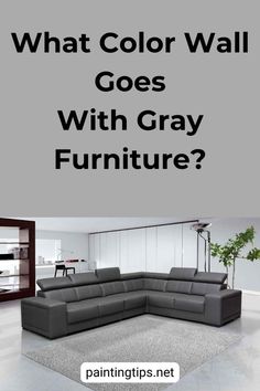 a living room with gray furniture and the words what color wall goes with gray furniture?