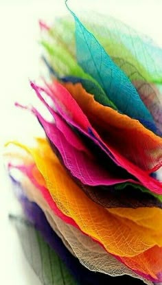 multicolored feathers stacked on top of each other