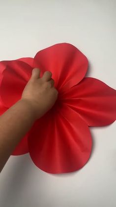a person holding a red paper flower in their left hand on a white surface with the other hand pointing at it