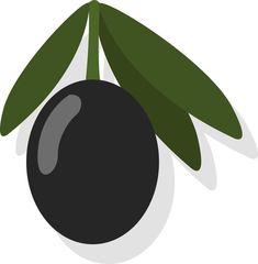 Black olive, illustration, vector on a white background
