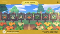 an animal crossing game with lots of pumpkins in the field and signs that read crop signs