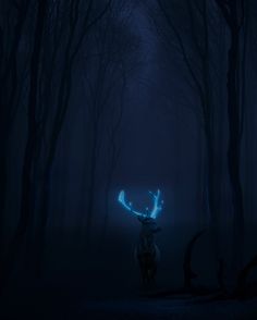 a deer with glowing antlers standing in the dark forest at night, surrounded by trees