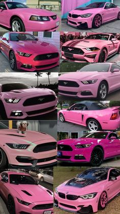 Pink mustangs