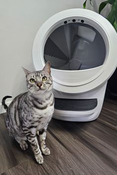 Cat litter box automatic