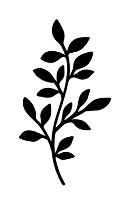 Leaf Vine Svg, Leaf Laser Cut, Black Flower Silhouette, Leaf Png Vector, Plants Svg, Flower Leaf Pattern, Ramas Vector, Leaves Svg, Svg Png