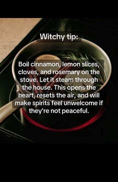 Intention Simmer Pot Recipes, Witch Recipes Potions, Simmer Pot Meaning, Protection Bowl Witchcraft, Simmer Pot Witchcraft, Crystal Cleanse Bowl Witchcraft, Witch Cleansing Simmer Pot, Simmer Pot Spell, Witchcraft Simmer Pot