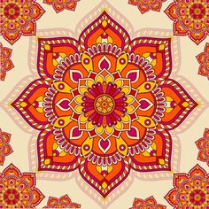 an orange and pink flower on a white background with lots of red flowers in the center