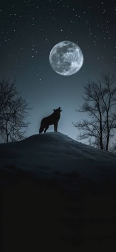 a wolf standing on top of a snow covered hill under a moon filled night sky