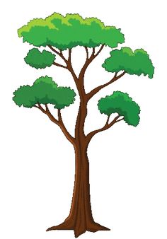 a cartoon tree with green leaves and brown branches, on a white background stock illustration