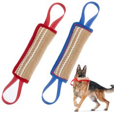 a dog is walking next to two leashes that are made out of jute