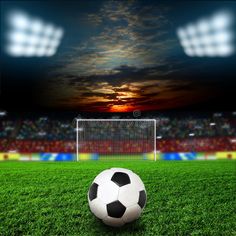 a soccer ball sitting on top of a lush green field next to a goal post