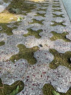 a stone walkway with moss growing on the ground and stones in the middle that look like flowers