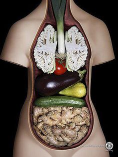 the stomach is filled with vegetables and fruits