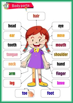 Body Parts Preschool, Body Parts For Kids, Teach English To Kids, English Worksheets For Kindergarten, English Activities For Kids, Learning English For Kids, Kindergarten Learning Activities, Kids Worksheets Preschool, English Worksheets For Kids