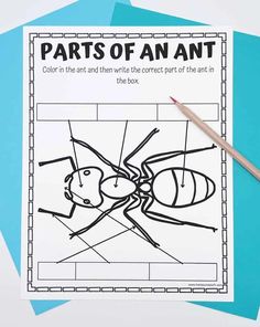 the parts of an ant worksheet with two pencils on top of it